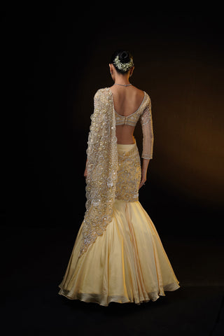 "Gloria" Golden Drape Fishcut Saree Set "Gloria" Golden Drape Fishcut Saree Set