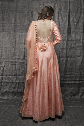 Fusion Wear Gown With Dupatta Fusion Wear Gown With Dupatta