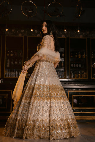 "Alice" Silver Golden Sequin & Crsytal Emboidery Lehenga Set