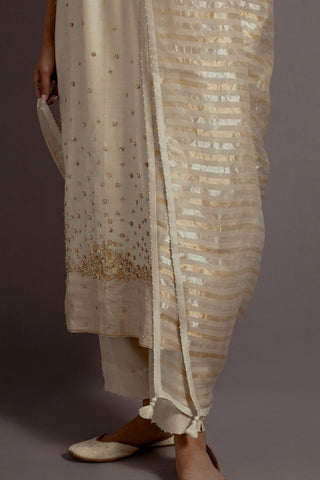 Ivory Tissue Appliqued Straight Kurta Set