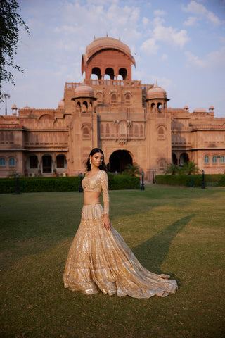 "Tamanna" Sequin Embellished Lehenga Set With Trail Behind